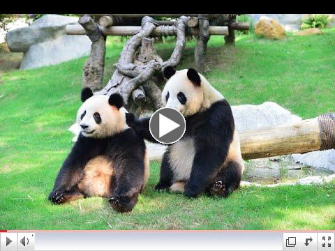 Wendy Wu Tours - Incredible China