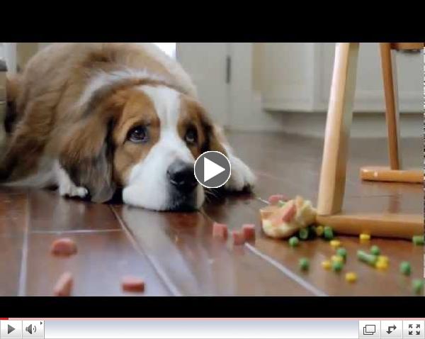 «The Dog Strikes Back» VW TV spot