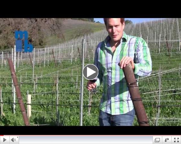 Stolpman Vineyards