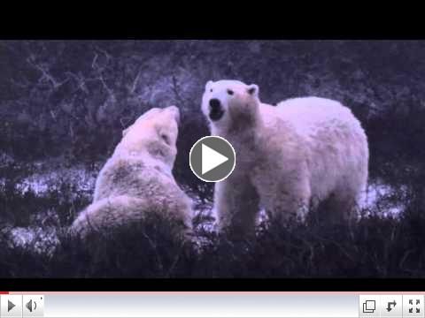 Clash of the Polar Titans