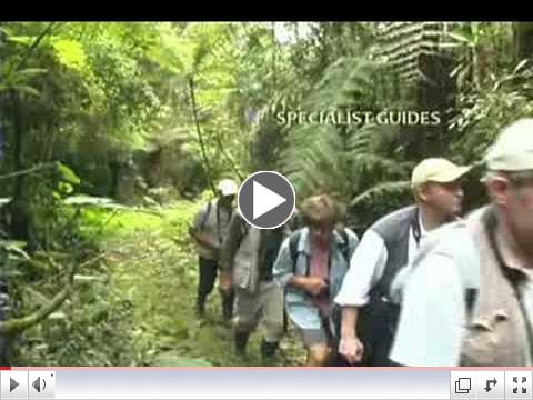 Birding paradise in the Cerulean Warbler Bird Reserve