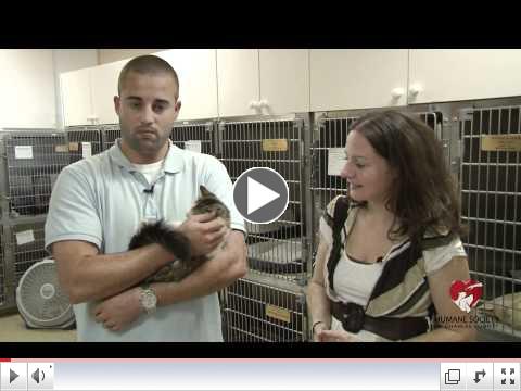 Charles County Maryland Humane Society Animal Adoption Video for September 2011