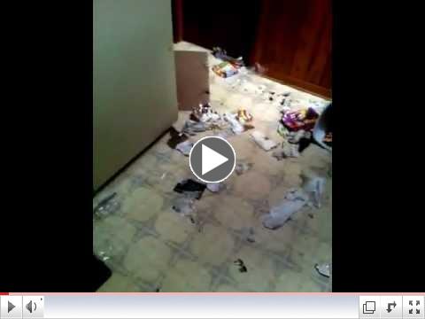 Living With an English Mastiff (*****ORIGINAL*****)