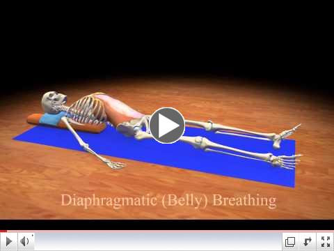 Jackie has trained with Orthopedic Surgeon and Yogi Ray Long MD how to help your body and mind with better breath.