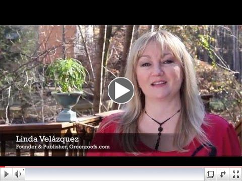Virtual Summit 2013 Highlights Video