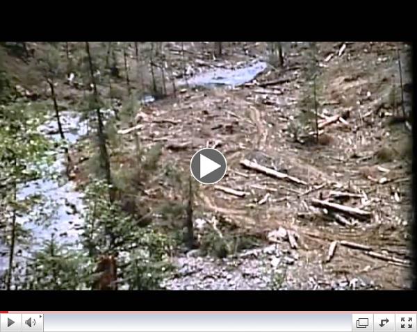 Forests to Faucets: clean water or clear cuts?