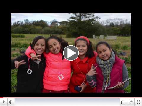 See How You Feel at Quail Hill Farm