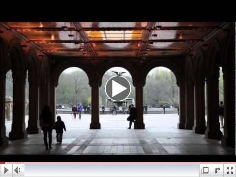 A Year In New York