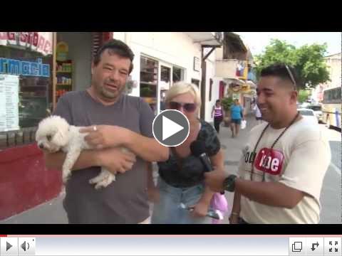 Puerto Vallarta Special safety report on isolated incident on October 15 2012.
