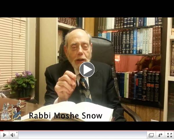 Rabbi M. Snow - Tzav