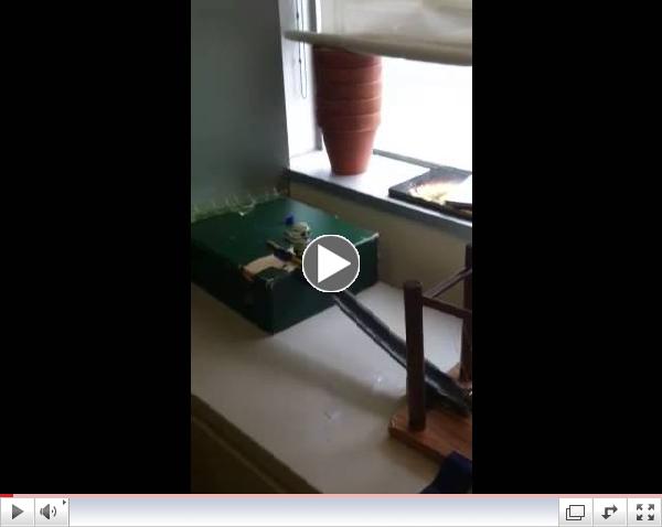 In Science class, the 5th/6th graders built Rube Goldberg machines. This one waters plants!