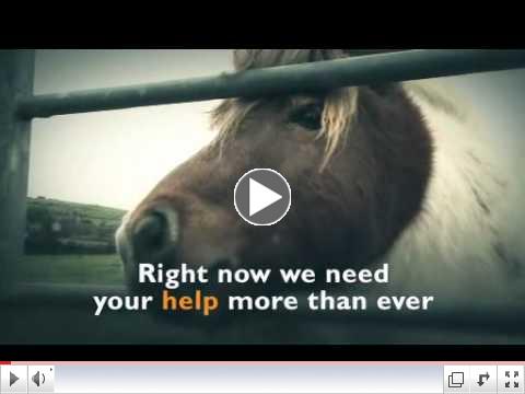 We need your help!