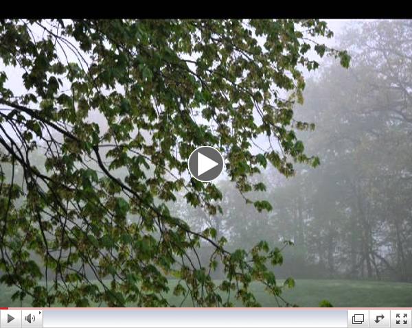 One Minute Relaxation from The Positive Classroom