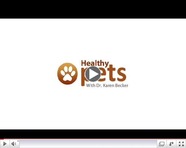 Coprophagia in Pets