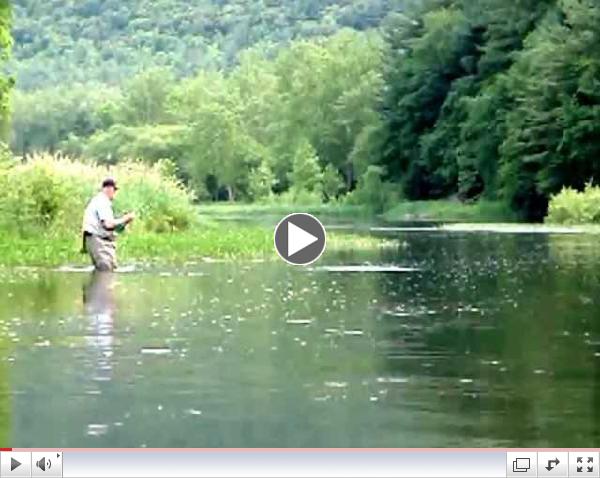 Dick Crawford Back With Another Dry Fly Trout!