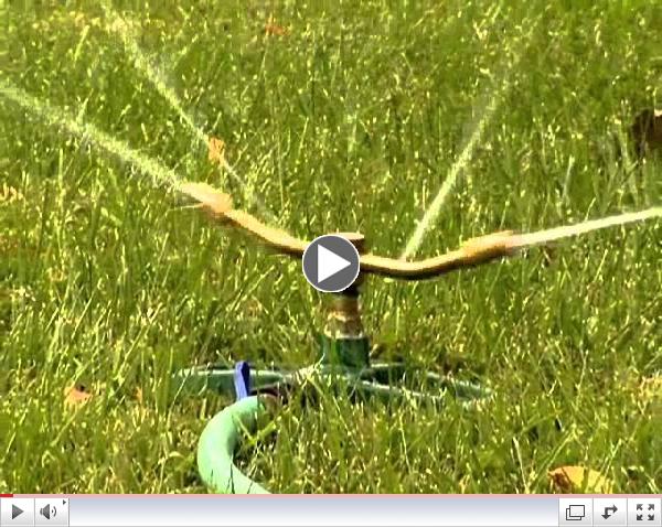 Tips for Watering Your Lawn