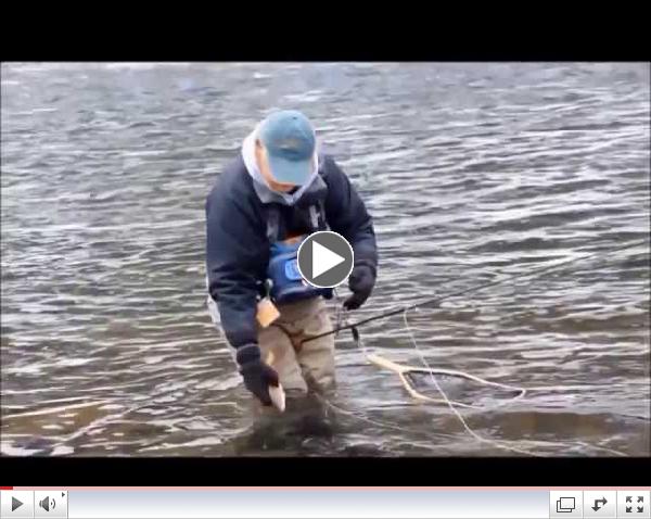 Winter fishing on Pine Creek