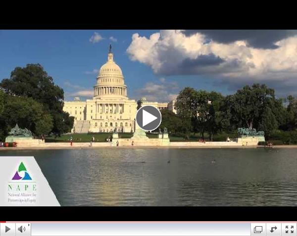NAPE Professional Development Institute