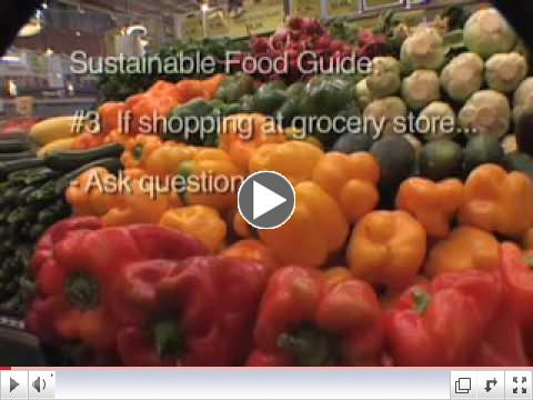 Sustainable Food Guide: Cutting your food's embodied energy