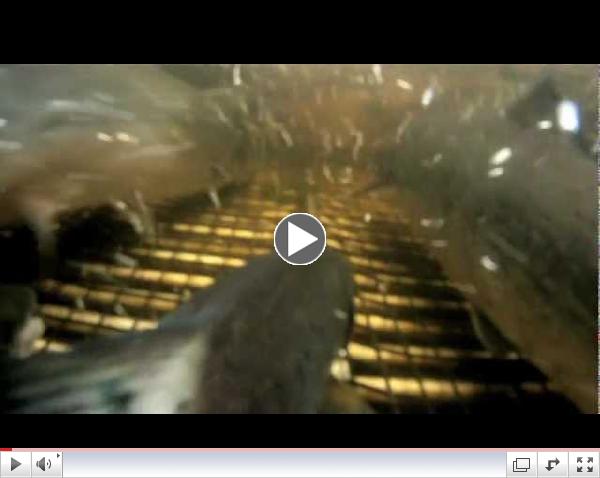 Turning Tail Trailer