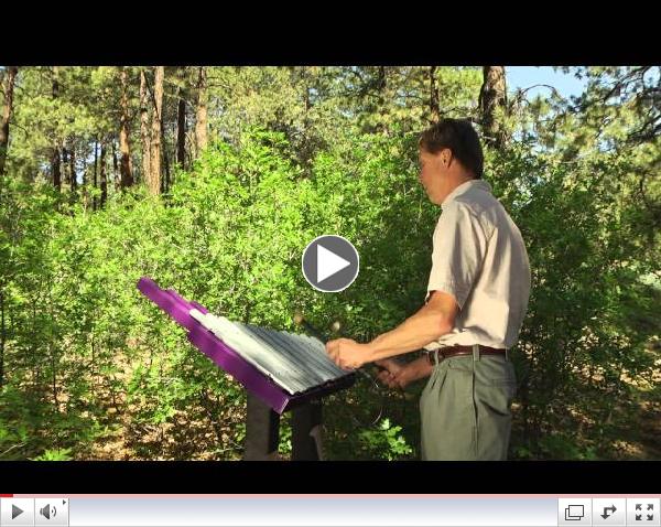 Merry Song  - Oh! Susanna