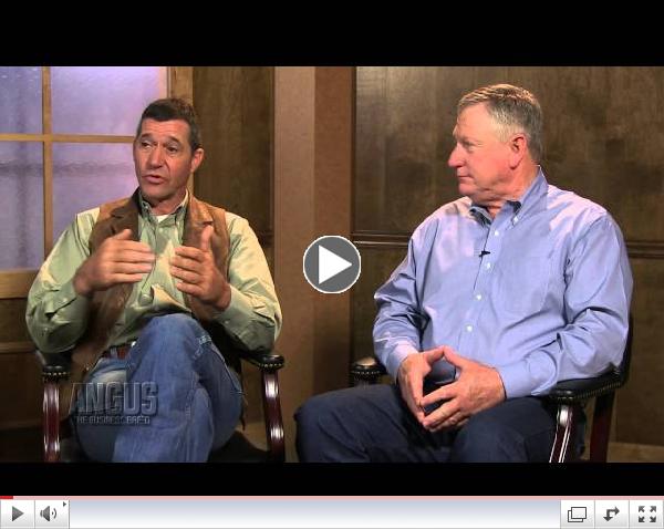 Part 3: Stockmanship & Stewardship