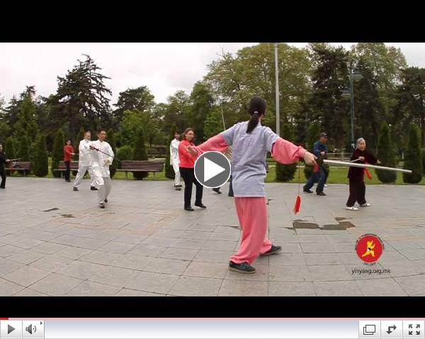 World Tai Chi Day 2014 in Macedonia - 32 Taijijian