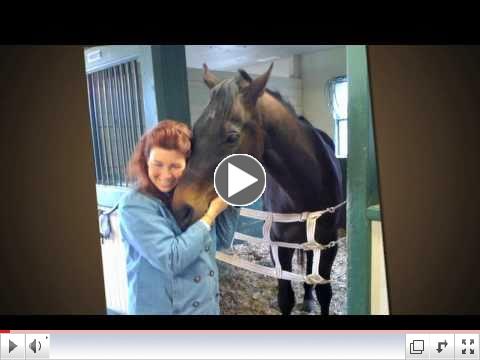 Peace-By-Peace ~ Intro To Animal Reiki & Cellular Healing