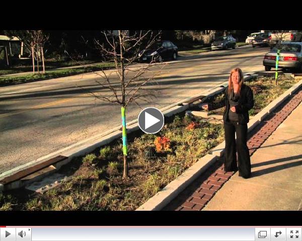 Stormwater Bumpouts: Calmer Community, Cleaner Creek