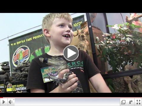 A Croc Encounters Young Presenter in Training with Alligator at Repticon Tampa
