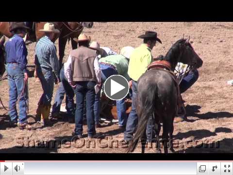 Cheyenne Rodeo Calf Brutally Injured, Suffering Ignored