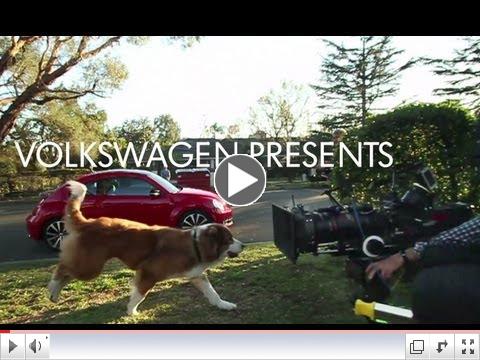 The Making Of: The Dog Strikes Back Commercial