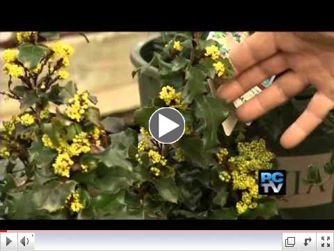 Sumner Nurseries Help Reduce Water
