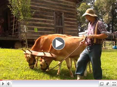 Mountain Heritage Festival, Blairsville, Georgia