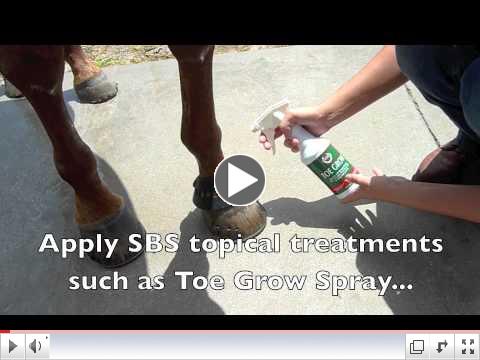 SBS Therapy Band Instructions