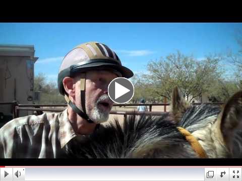 ROTH's Foals in Training Equine Voices, AZ - Day 3