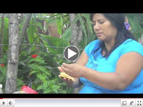 What is Cristosal?