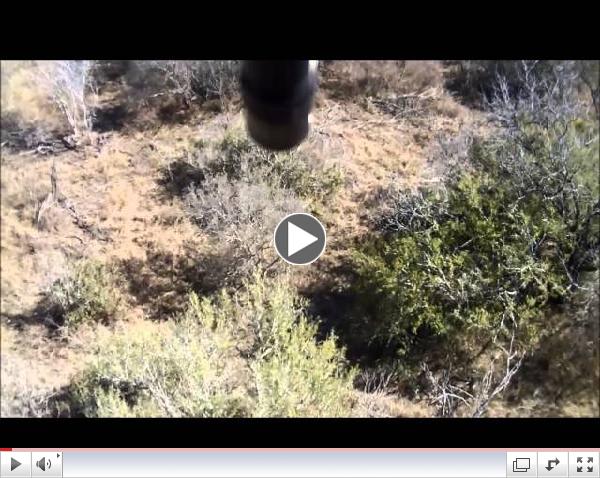 Telarana Ranch Hog Hunting - Death from Above!