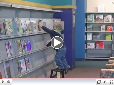 Library Services in Waterford Township