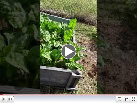 Green Thumb at 60 - Video #3 - Building Raised Beds