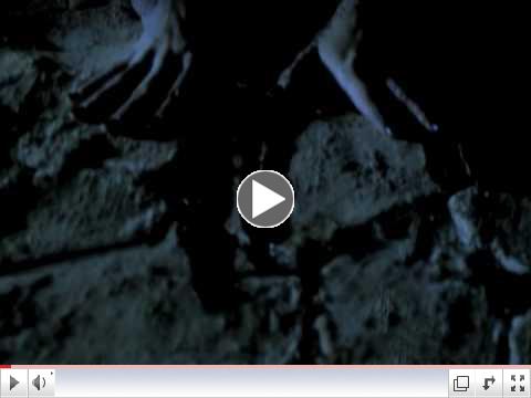 Madonna - Frozen
