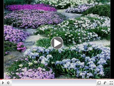 Mendelssohn - Spring Song - Songs Without Words