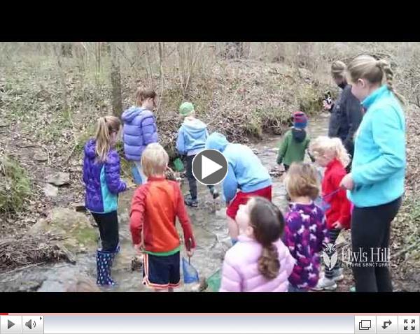 Outdoor Learning at Owl's Hill Nature Sanctuary