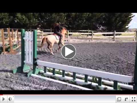 Goldhills Arresting Charm