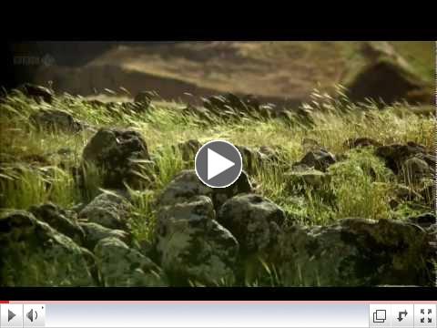 How To Grow A Planet (BBC Documentary, 2012)