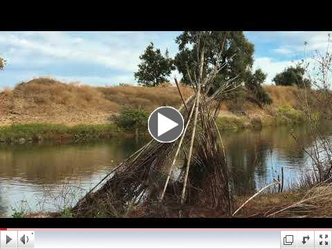 A River For Everyone