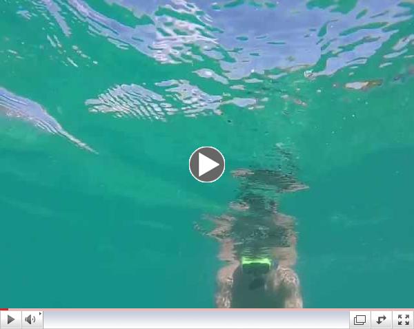 John Sage Paraplegic Snorkeling with Webbed Gloves