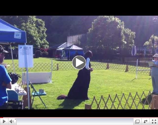 Gustav Utility B May 13, 2012.MOV