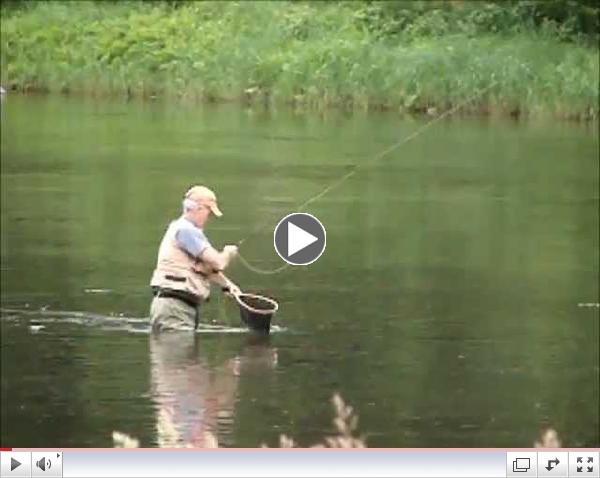 3 anglers catching trout on Pine's old campground pool...Eldon, Elmer, and Travis...