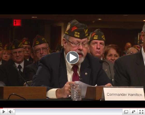 VFW Commander-in-Chief John Hamilton's Complete Testimony